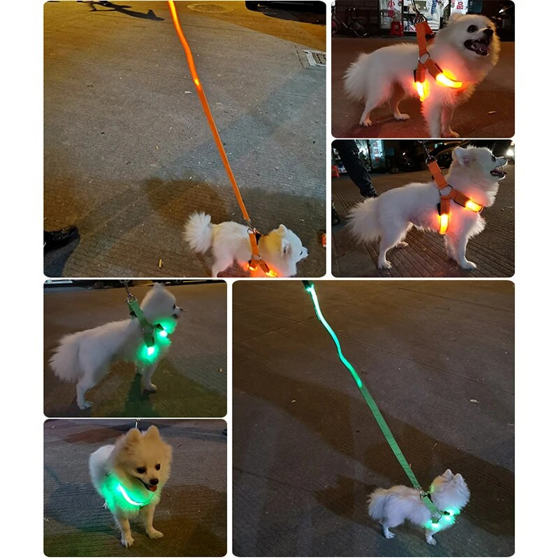 Reguliuojamas LED diržas šunims, USB įkraunamas, mirksintis naktinis saugos diržas, netraukiamas antkakliai, skirti mažiems ir vidutiniams šunims augintiniams Arnes Perro
