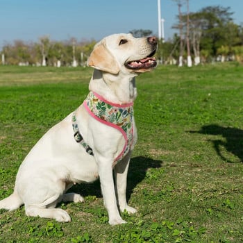 Χαριτωμένο τυπωμένο Chihuahua Γαλλικό μπουλντόγκ Ρυθμιζόμενο λουρί για κουτάβι για γάτα Μικρό γιλέκο σκύλου για κατοικίδια για εκπαίδευση βάδισης Pug Yorkie