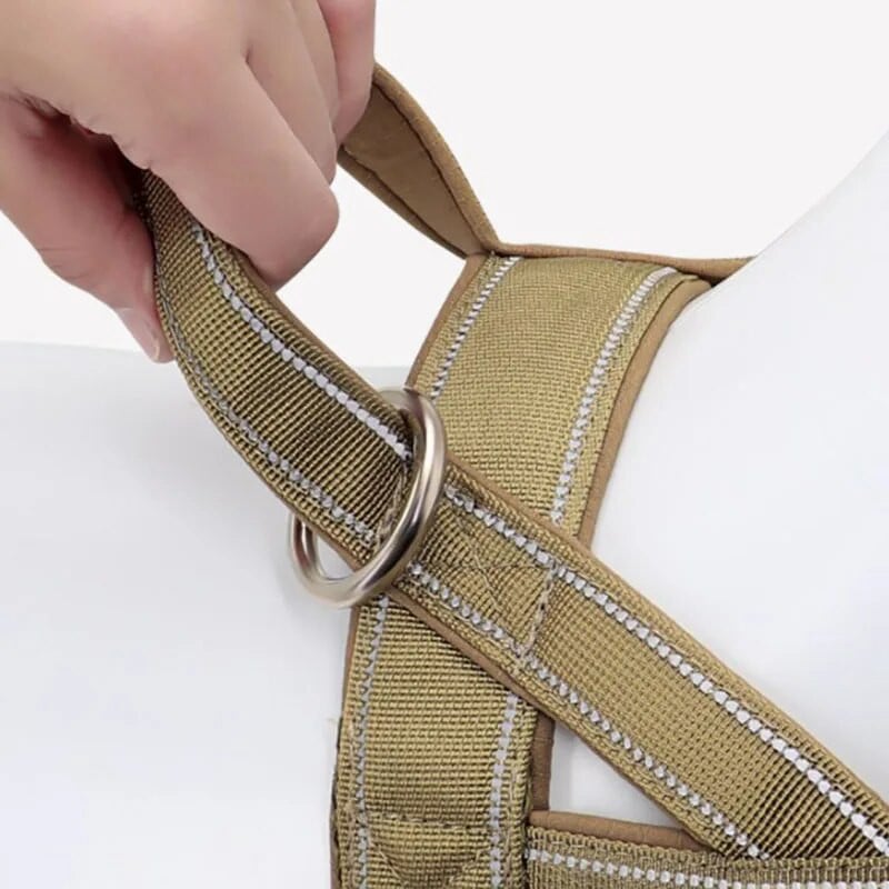 Didelių šunų diržai kariniai mokymai be traukimo naminių šunų diržų liemenės atspindintys taktiniai diržai vidutinio dydžio šunims, buldogai