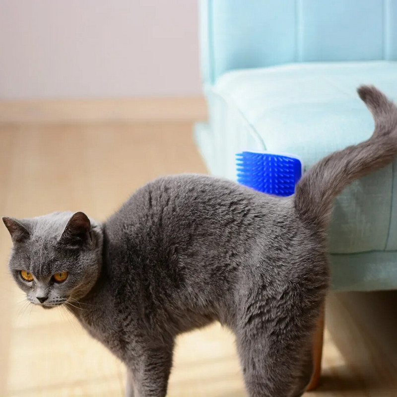 Naminių gyvūnėlių plaukų šalinimo masažo šukos Naminių gyvūnėlių šukos Nuimamas katės kampas draskymo trynimo šepetys Naminių gyvūnėlių priežiūros Valymo reikmenys Braškiklis