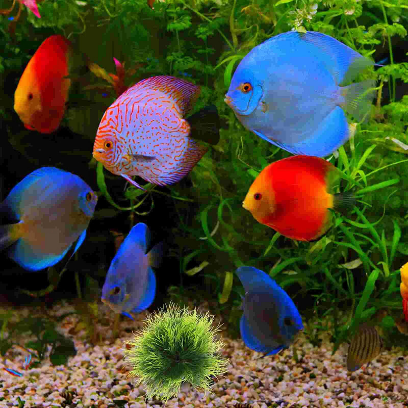 Imituoti vandens žolės dekoravimo augalai, skirti dekoratyviniam akvariumo plastikui