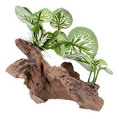 Akvariumo kamieno augalo ornamentas Dirbtinis kamieno urvo papuošalas žuvies rezervuaro slėptuvės dekoras žuvims