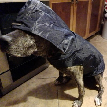 Αδιάβροχο σκύλος Αδιάβροχο μπουφάν με κουκούλα Rain Poncho Pet Rainwear Ρούχα με ανακλαστική ρίγα Αξεσουάρ αδιάβροχο για σκύλους εξωτερικού χώρου