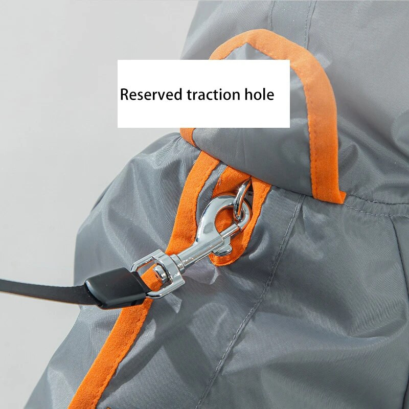 Šunų lietpalčiai Kontrastingi Matiniai Skaidrūs Maži Šunys Naminiai vasariniai Drabužiai Naminiai paltai nuo lietaus Neperšlampama striukė Madingi šuniuko drabužiai