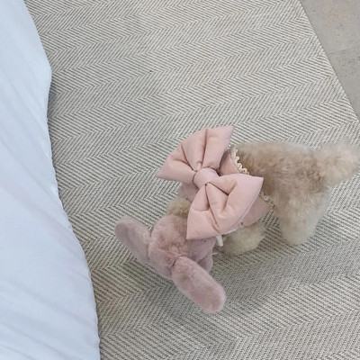 Pet Mielas lankelis Rudens ir Žiemos pliušinis šuns krūtinės liemenė Stilius Trakcinis meškiukas Jorkšyro šuo Naminio šuns pakinktai šuniuko priedai