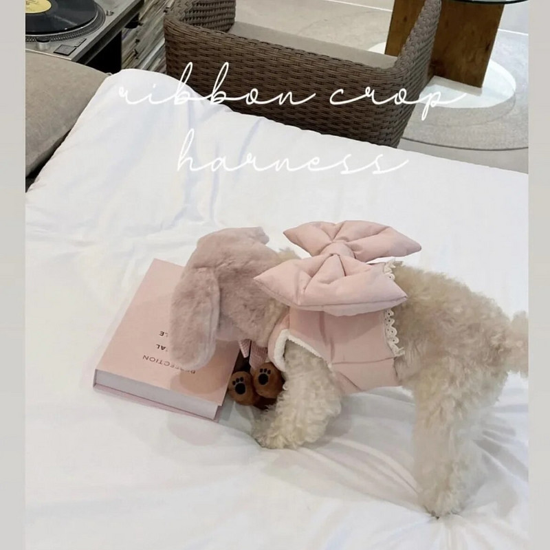 Pet Mielas lankelis Rudens ir Žiemos pliušinis šuns krūtinės liemenė Stilius Trakcinis meškiukas Jorkšyro šuo Naminio šuns pakinktai šuniuko priedai