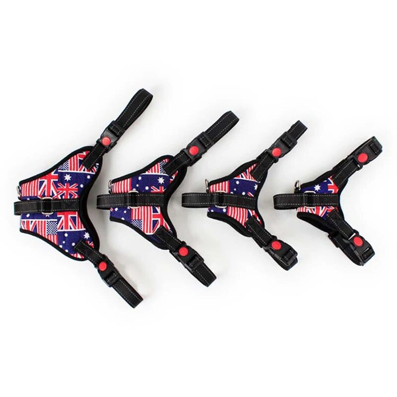 Reguliuojami nailono diržai naminiams gyvūnėliams šunims Šviesą atspindintys šunų diržai be traukimo maži, vidutiniai dideli šunų diržai šunų reikmenys