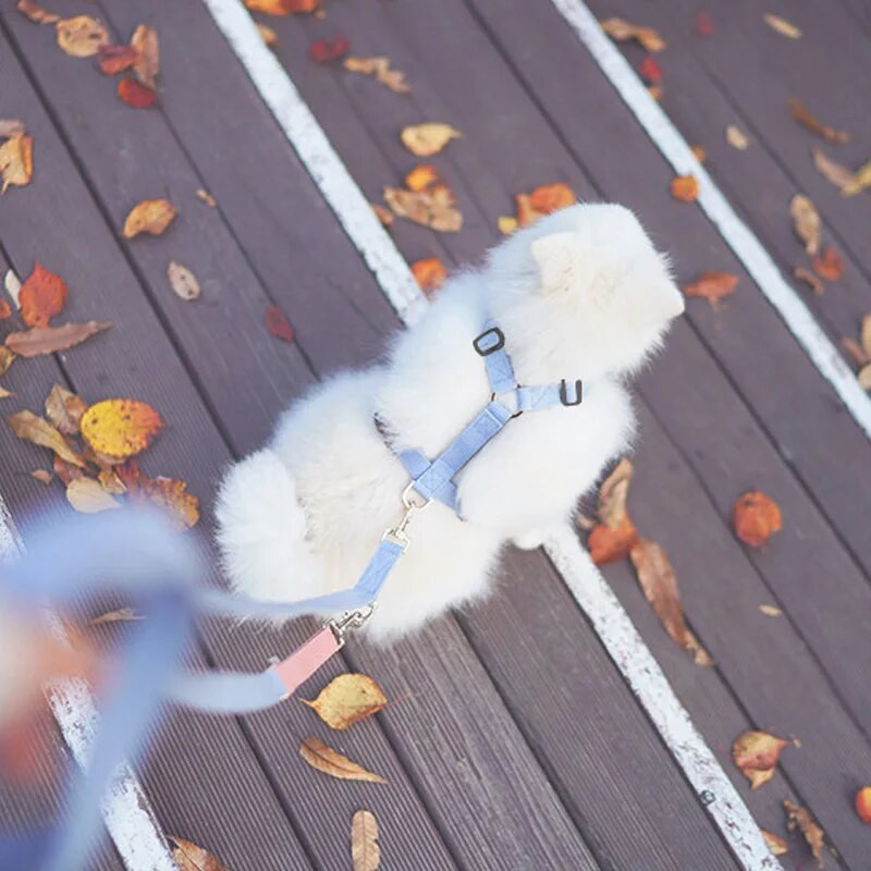 Pet I formos petnešų rinkinys Reguliuojamas spalvingas sekimo laidas mažiems ir vidutiniams kačių šunims, apsaugantis nuo atitrūkimo lauke vaikščiojimo krūtinės diržas