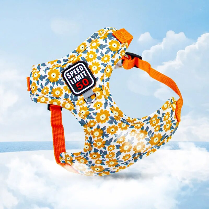 Húzás nélkül állítható kutyahám és póráz kistestű kutyáknak macska virágmintás kölyökkutya sétáló túramellény mellkasszíj kisállat kellékek