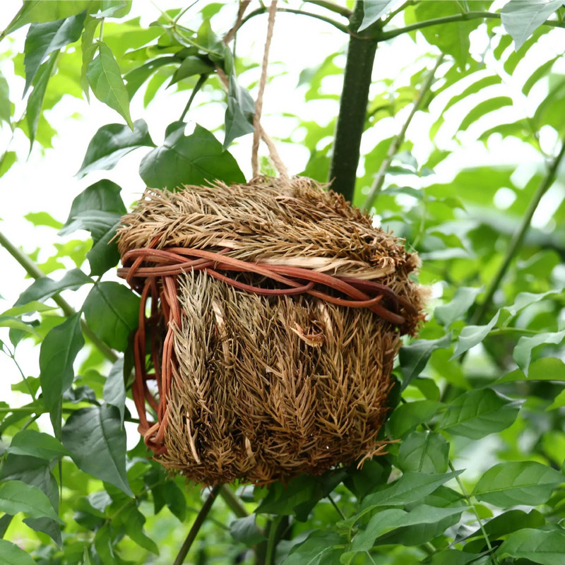 Χειροποίητο Bird House and Nest Δημιουργικό οικολογικό υφαντό γρασίδι Κλουβί πουλιών για διακόσμηση κήπου Bird Cage Outdoor Bird's Nest