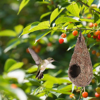 1/2 ΤΕΜ. Bird House Φυσικό γρασίδι Hummingbird Bird Nest Fiber Hand-woven Roosting Nest Bird Hut για διακόσμηση αυλής