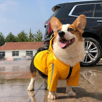 Αδιάβροχο για κουτάβι με κουκούλα αδιάβροχο με δαχτυλίδι πρόσφυσης υψηλής ορατότητας Μικρό μεσαίο μεγάλο μπουφάν αδιάβροχο σκύλου