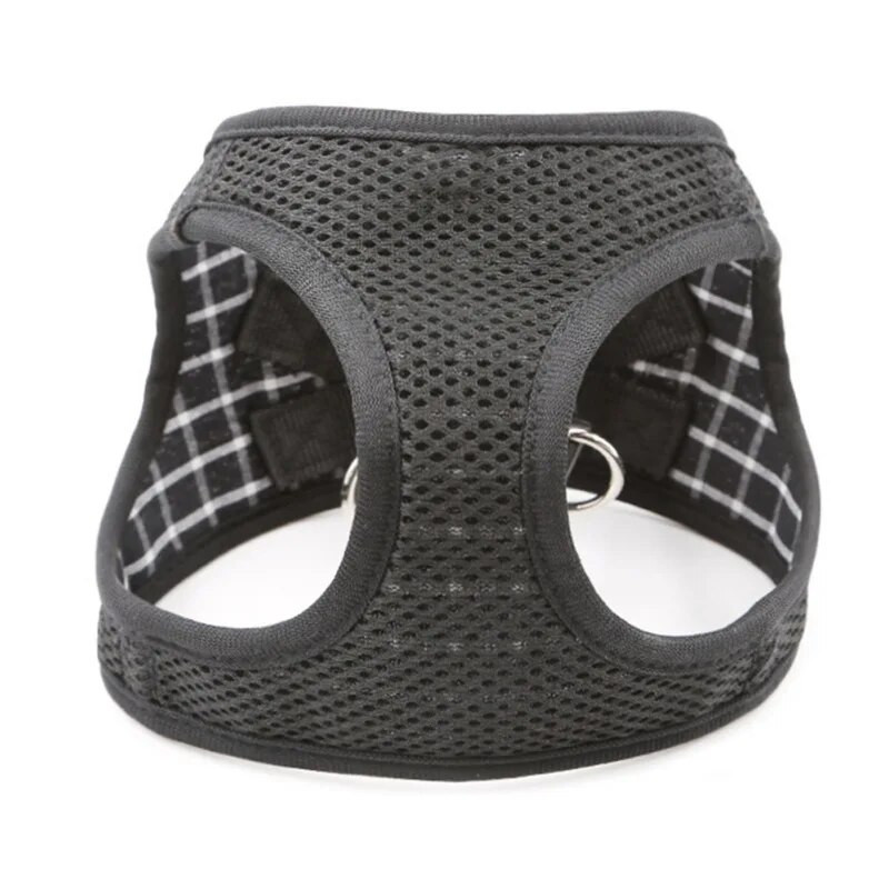 Reguleeritavad kassirakmed Hingavad kassipoegade rakmed jalutusrihma komplekt Bell Bowknot lemmikloomarakmetega kassikoera kutsika kassi tarvikutele