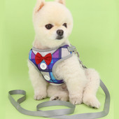 Reguliuojama liemenė, paminkštinta šunų petnešėlė – patogu vaikščioti, treniruotis