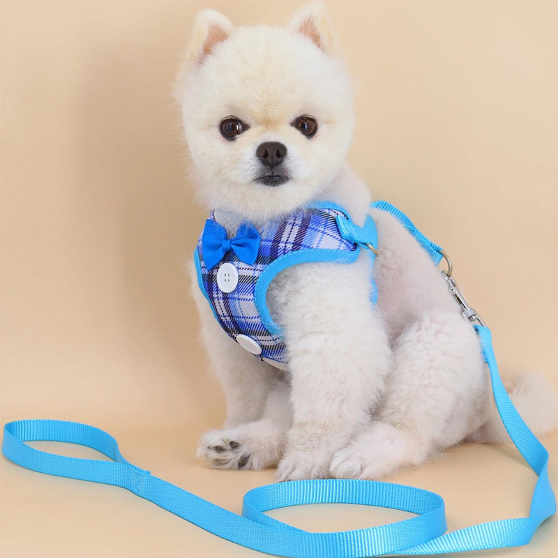 Reguliuojama liemenė, paminkštinta šunų petnešėlė – patogu vaikščioti, treniruotis