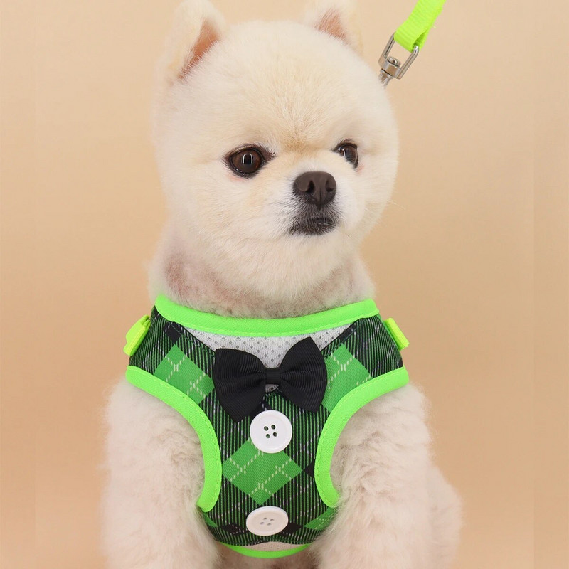 Reguliuojama liemenė, paminkštinta šunų petnešėlė – patogu vaikščioti, treniruotis