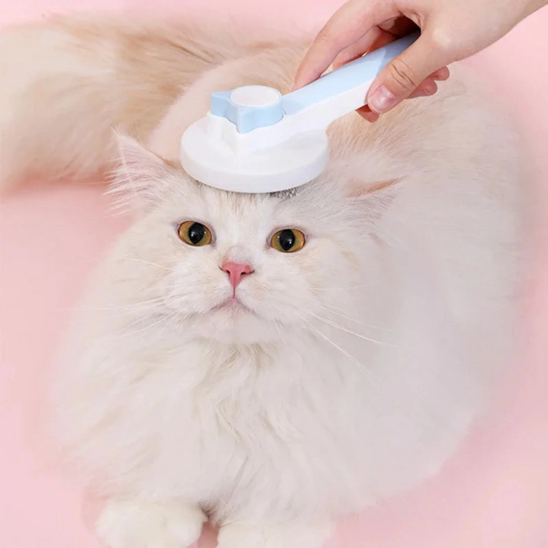 Kassi karvade eemaldaja hari koerale ja kassile lemmikloomade juuksehari juuksemasseerija eemaldab kassipoegade karvad Kassidele lemmikloomatooted Cepillo Para Gato