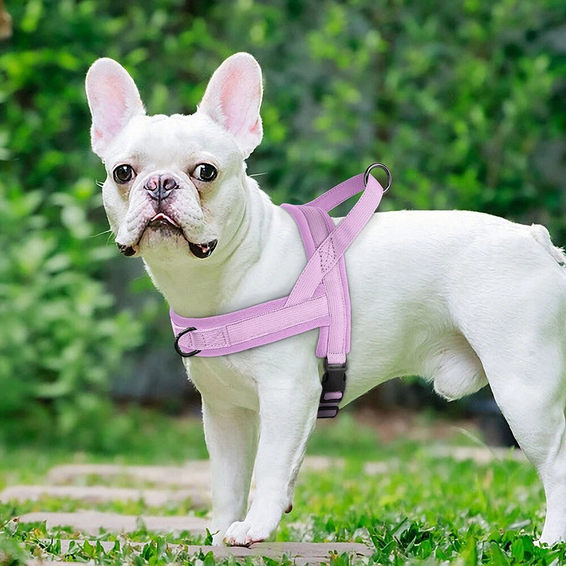 No Pull Dog Siksnas Mīkstas Polsterētas Suņu Zirglietas Mājdzīvnieku kucēnu Mopsis Bulldoga Veste Izturīga Maziem Vidējiem Suņiem Regulējama