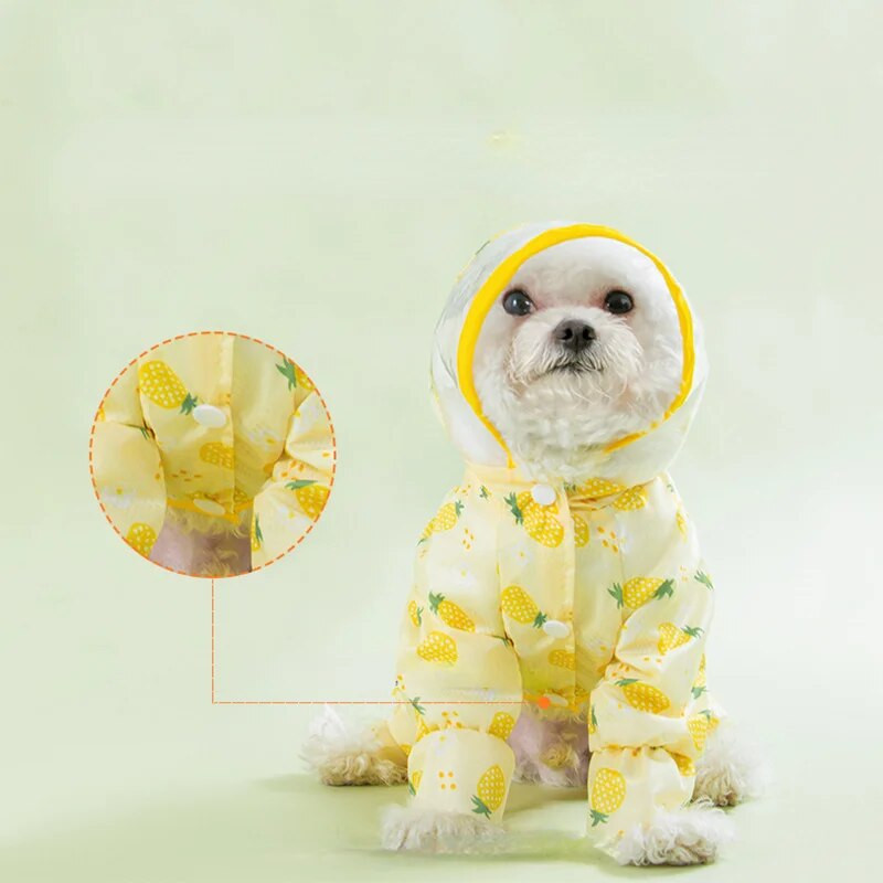 Lengva vandeniui atspari striukė su naktine šviesą atspindinčia juostele, mielas šuniuko lietpaltis, mažo ir vidutinio naminio gyvūnėlio drabužiai, vasara