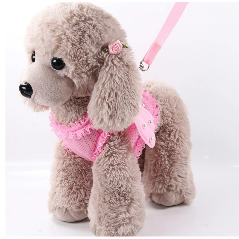 Pearl Coco Angel Wing Princess naminis šuo Petnešos šuniuko petnešos ir pavadėlis rinkinys naminių kačių liemenės petnešėlių pavadėlis gali būti neklaužada dirželis