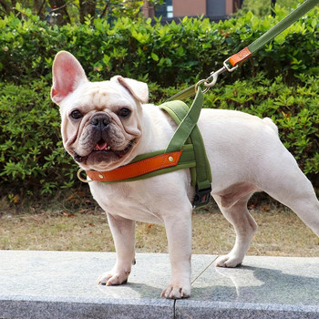 No Pull Dog λουριά Nylon Δερμάτινο λουρί για σκύλους Εξοπλισμός για εξωτερικούς χώρους με επένδυση για κατοικίδια για μικρά μεσαία μεγάλα σκυλιά Γαλλικό μπουλντόγκ