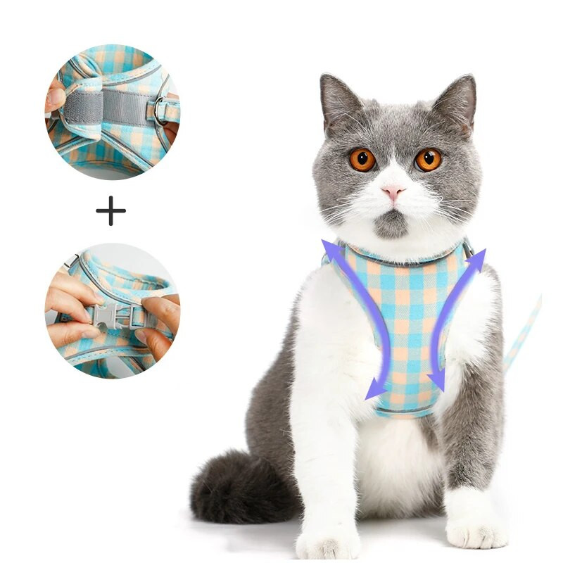 Šunų katės petnešų liemenė Reguliuojama šuniuko kačiuko antkaklis mielas vaikščiojimo pavadėlio komplektas Čihuahua petnešų karoliai mažiems šunims Mopsas
