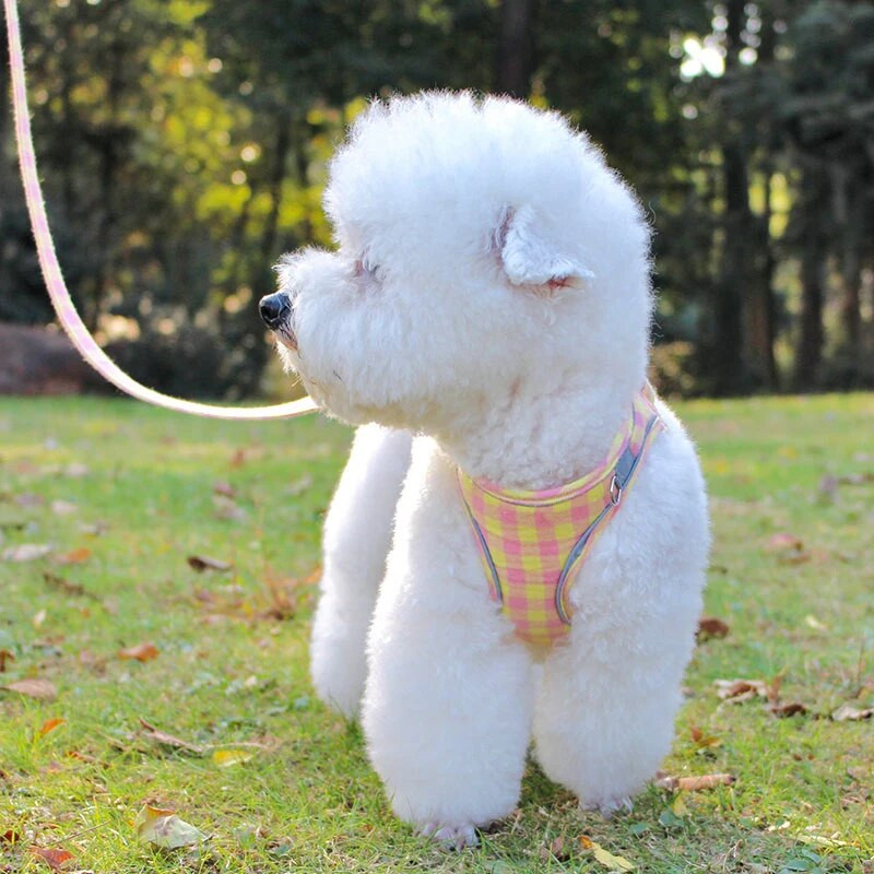 Šunų katės petnešų liemenė Reguliuojama šuniuko kačiuko antkaklis mielas vaikščiojimo pavadėlio komplektas Čihuahua petnešų karoliai mažiems šunims Mopsas