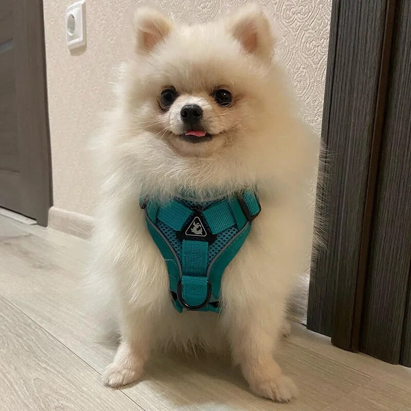 Set de ham reflectorizant pentru câini de companie și lesă pentru câini de talie mică, mijlocie, accesorii, accesorii pentru animale de companie, hamuri de vestă pentru cățeluș și pisici, arnes perro