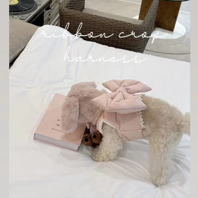 Suknelės šuniukui katėms Vasariniai rūbai augintiniams Mieli lankeliai rudenį ir žiemą pliušiniai su pavadėliu rinkiniai mažiems šunims katėms kačiuko drabužiai