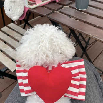 Χαριτωμένο σκυλί με λουρί στήθους σε σχήμα καρδιάς Σκύλος Κόκκινη καρδιά Σετ λωρίδα έλξης Σετ λουράκι στήθους με σχοινί έλξης Σετ λουράκι στήθους για περπάτημα σκυλιών Μάλτας