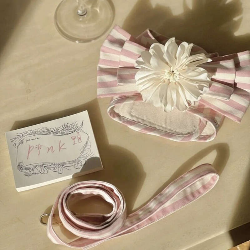 Mielas šuns dirželis Širdies formos krūtinės dirželis šuo raudonos širdelės juostelių rinkinys Traukos virvės krūtinės dirželio rinkinys Maltos vaikščiojantis šuo virvė augintinis