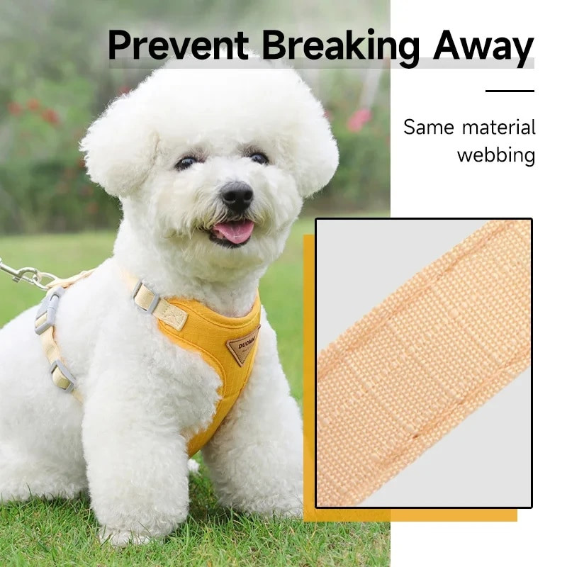 Šunų diržai ir pavadėlis Naminių gyvūnėlių pavadėlis su pavadėliu mažiems šunims Patogūs lauko diržai, atsparūs šunims