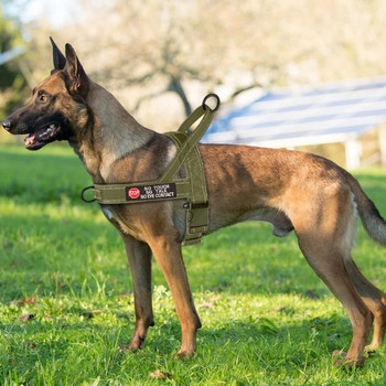 Найлонов тактически военен колан за кучета със стикер Светлоотразителни колани за обучение на кучета Без издърпване Жилетка за домашни любимци за кучета Френски булдог Розов