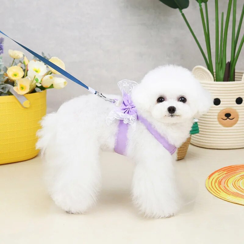 Big Bowtie, be traukiamų diržų liemenė mažiems šunims Rožinė purpurinė šuns krūtinės dirželiai Nėriniai dirželiai mergaitėms Princesės diržai XXL