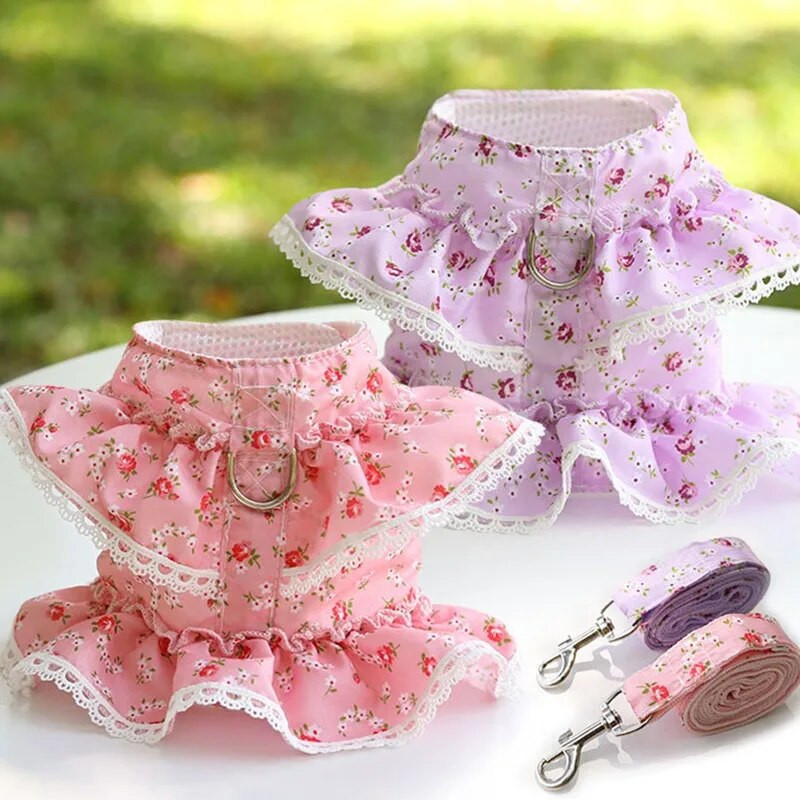 Šunų kačių diržų pavadėlio rinkinys Reguliuojamas nėrinis su gėlėmis spausdinta naminių gyvūnėlių diržų liemenė Miela šunų suknelė Pebby tinklelio diržai katės vaikščiojimui