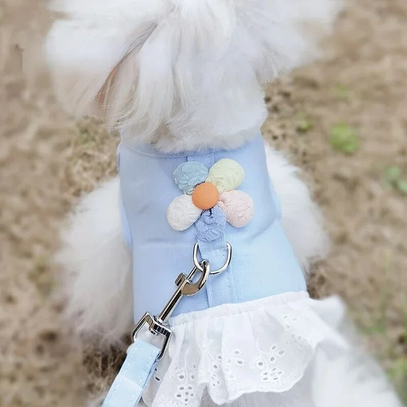 Kutya vontatási kötélmellény stílusú sétakötél kutya láncszíj kölyökkutya kiskutya mackó pomerániai macska kellékek kutyatartozékok