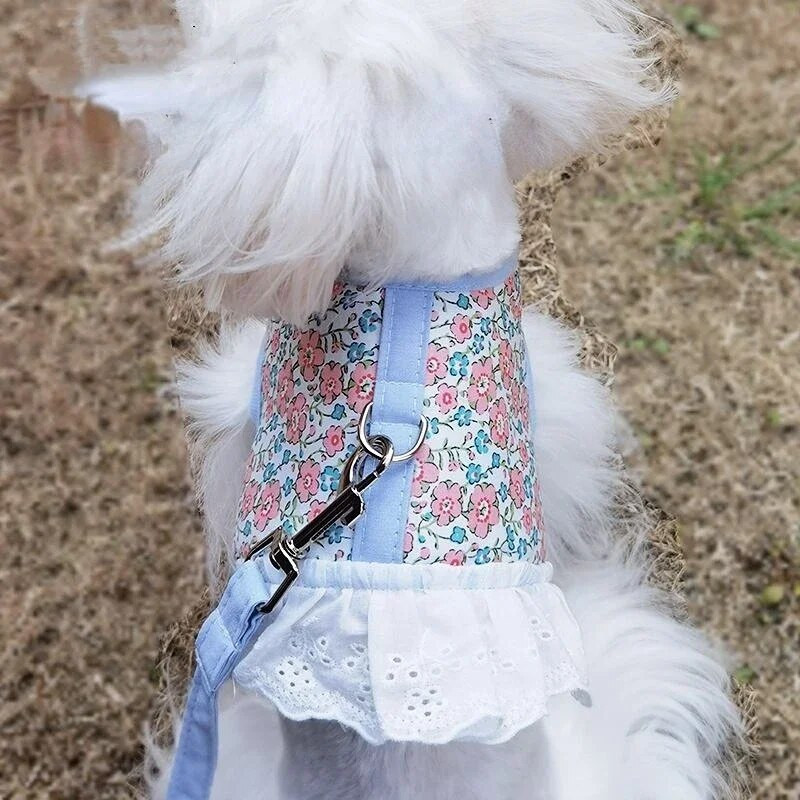 Kutya vontatási kötélmellény stílusú sétakötél kutya láncszíj kölyökkutya kiskutya mackó pomerániai macska kellékek kutyatartozékok