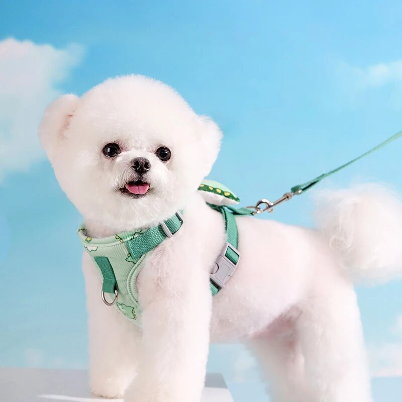 Animacinių filmų naminių šunų petnešų ir pavadėlio rinkinys Reguliuojamas šuniuko apykaklės dirželis naminių kačių petnešų liemenė lauke vaikščiojančių naminių gyvūnėlių priedai