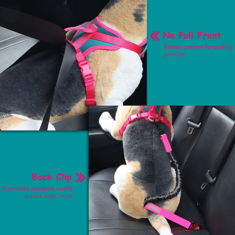 Boje za spajanje Prozračan Za srednje Oprsnice za pse bez povlačenja za velike male pse Podesivi remen za prsa Vanjski pojas za pse