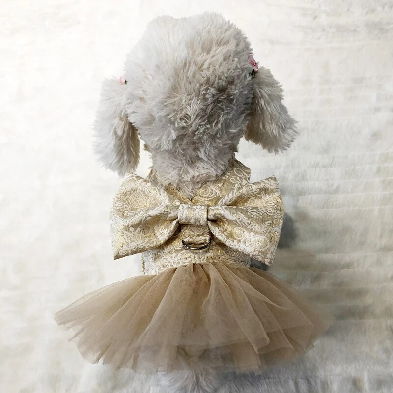 Auksinė šunų pakinktų suknelė mažiems šunims Prabangūs dizainerio rūbai šuniukui su D formos žiedu, naminių kačių apranga, pasivaikščiojimo vakarėliu ir vestuvėmis