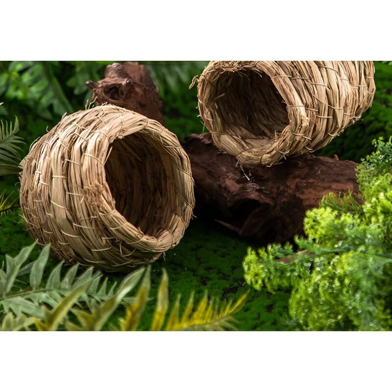 Rutino vištienos papūgos paukštis su žolės lizdu Žolės lizdas Bijūnas Šilti kiaušiniai Kabantis lizdas Mažų paukščių priedai Paukščių narvelių dekoravimas