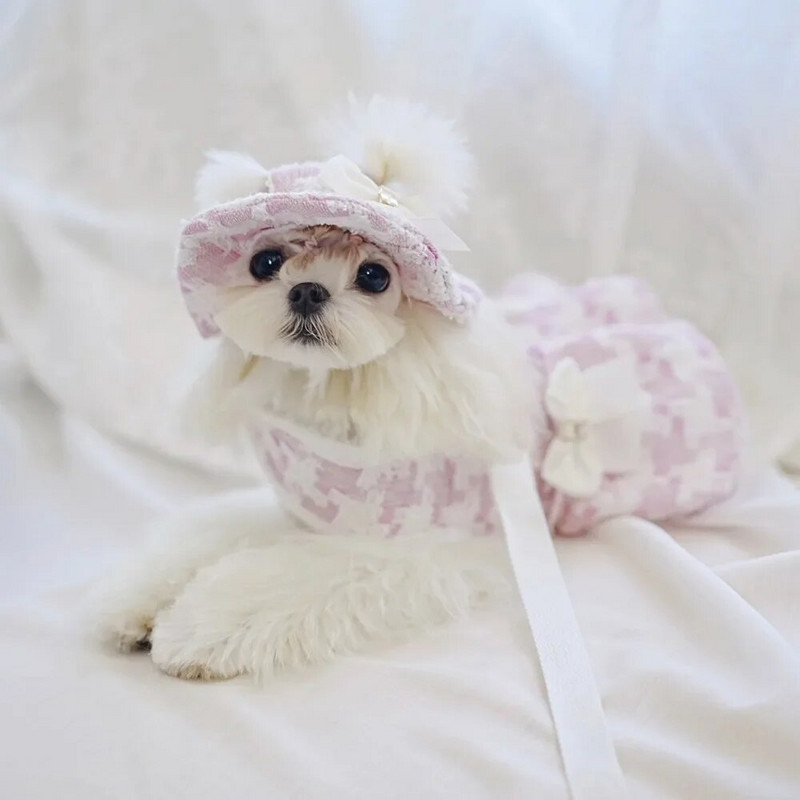 Karirani remen za prsa za kućne ljubimce, pas, slatka oprema za šešire, bez rukava za kućne ljubimce, remen za vuču, remen za vuču, povodac za pse, pseća ogrlica, dodaci za mačke