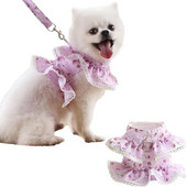 Σετ λουλουδιών λουλουδιών και λουριών λουλουδιών λουλουδιών λουλουδιών λουλουδιών λουλουδιών λουλουδιών λουλουδιών λουλουδιών λουλουδιών για σκύλους