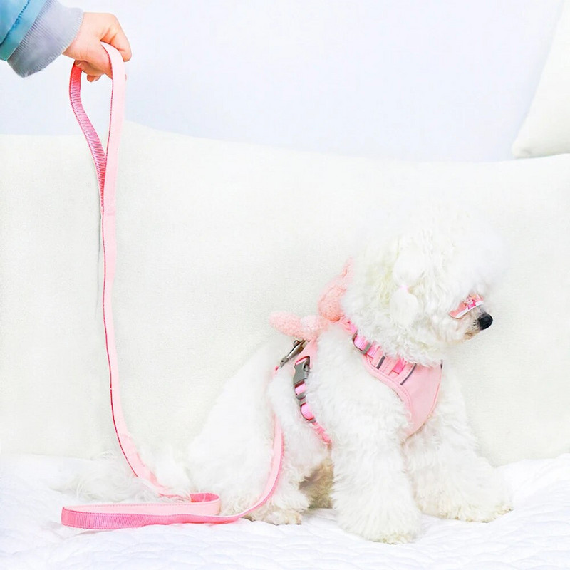 Pet Vest solid šunų petnešos ir pavadėlio rinkinys Pocket Bear šviesą atspindintys naminiams gyvūnėliams skirti drabužiai, skirti Chihuahua Yorkie vaikščiojimui treniruojamai kačių šunų grandinėlei