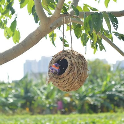 Hubane lemmikloomade lindude voodi mugav papagoi võrkkiik käsitsi kootud puhkamiseks ja magamiseks õues rippuv papagoi pesamaja