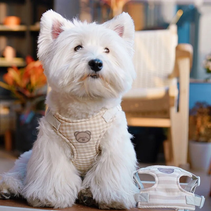 Medvilninis naminių šunų pavadėlis Mielas kačių šunų pavadėlis, reguliuojamas vidutinės didelės liemenės vaikščiojimo pavadėlis Minkštas kvėpuojantis pavadėlis prancūzų buldogo