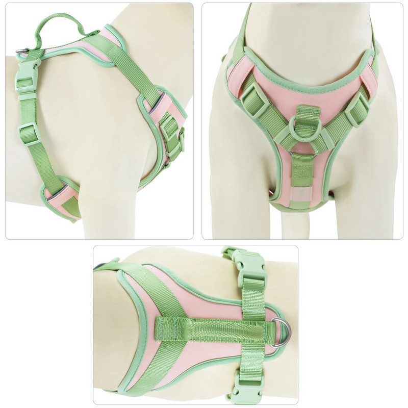 Spalvų sujungimas vidutiniams šunų diržams be traukimo dideliems mažiems šunims Reguliuojamas krūtinės diržas šunų diržų komplektas, pritaikytas individualiai