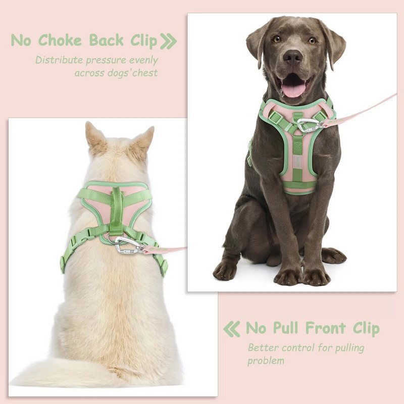 Spalvų sujungimas vidutiniams šunų diržams be traukimo dideliems mažiems šunims Reguliuojamas krūtinės diržas šunų diržų komplektas, pritaikytas individualiai