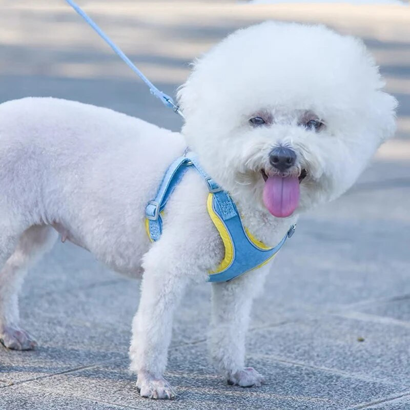 Furrybaby Hot Selling Velúr mellény típus Fényvisszaverő kisállatláda hevederek Kutya póráz kicsi és közepes kutyák Kötél macska mellkaspánt