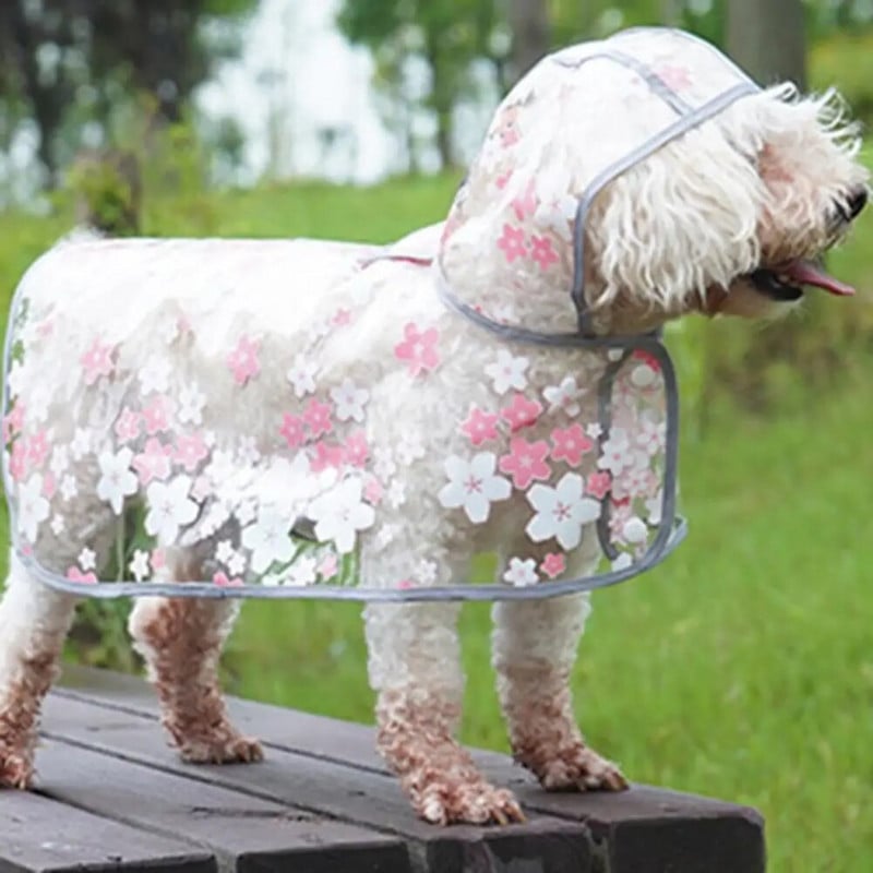 Fashion Dog Rain Jacket Κομψό σχέδιο λουλουδιών Διαφανές ακρωτήριο για κατοικίδια με τρύπα ρυμούλκησης Τέλεια εφαρμογή Αδιάβροχο σκύλου για Teddy
